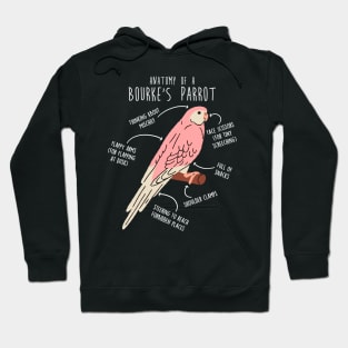 Bourke's Parrot Anatomy Hoodie